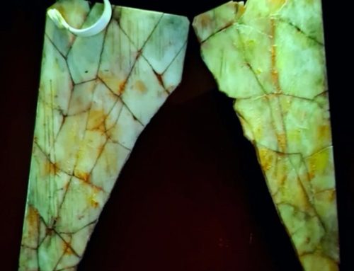 DAL TRATTO ALLE ALI DI ICARO: OLTRE QUARANTA ANNI DI ATTIVITÀ